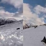 Esquiadora provoca aterradora avalancha y queda atrapada con su perrito